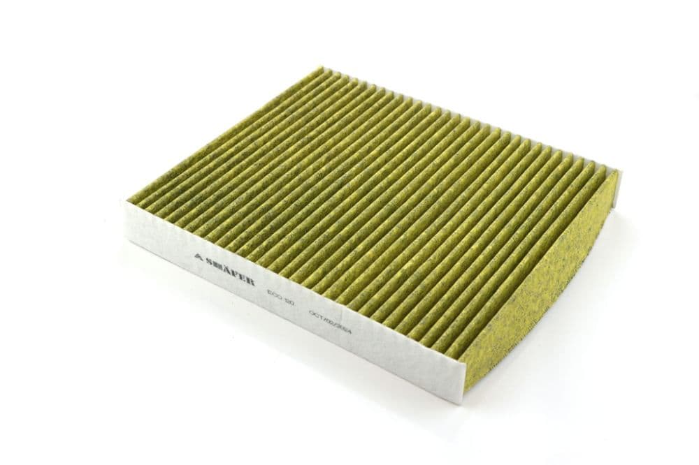 ECO120 - Shafer