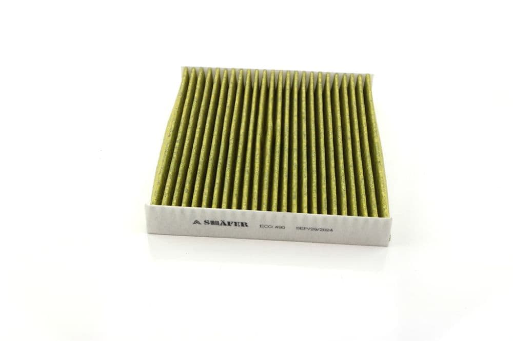 ECO490 - Shafer