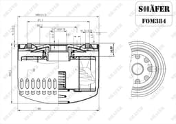 FOM384 - Shafer aperçu 1