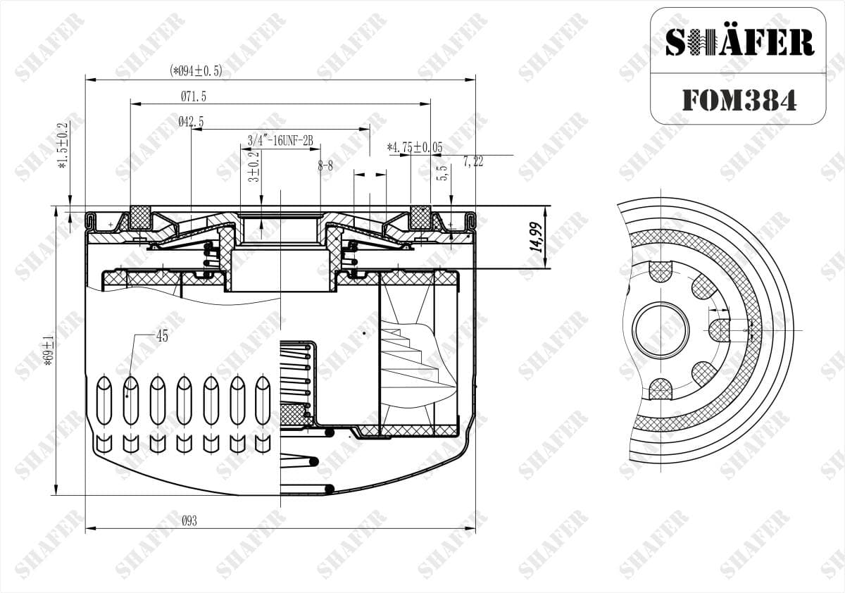 FOM384 - Shafer