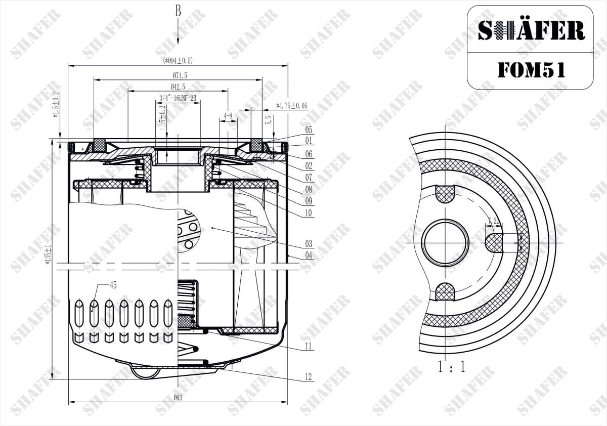 FOM51 - Shafer