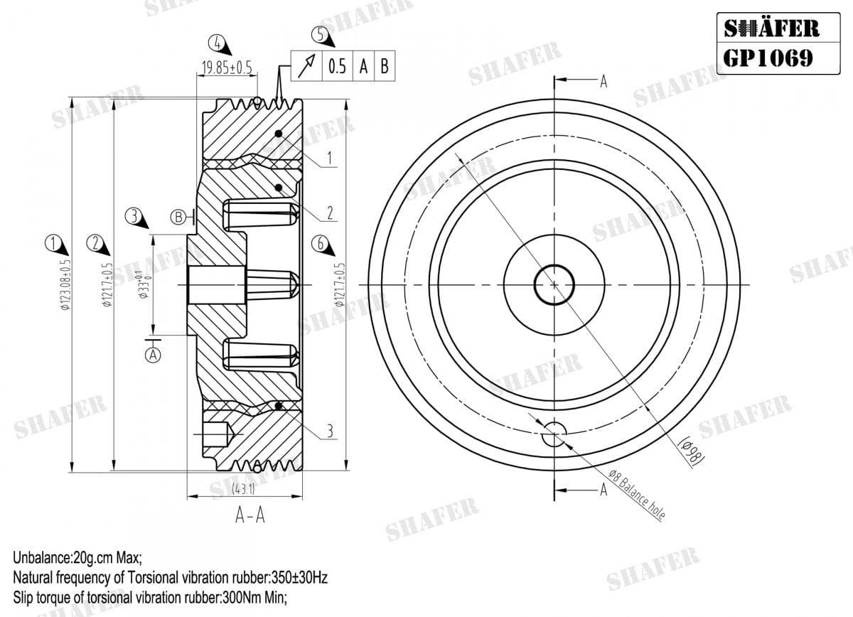 GP1069 - Shafer