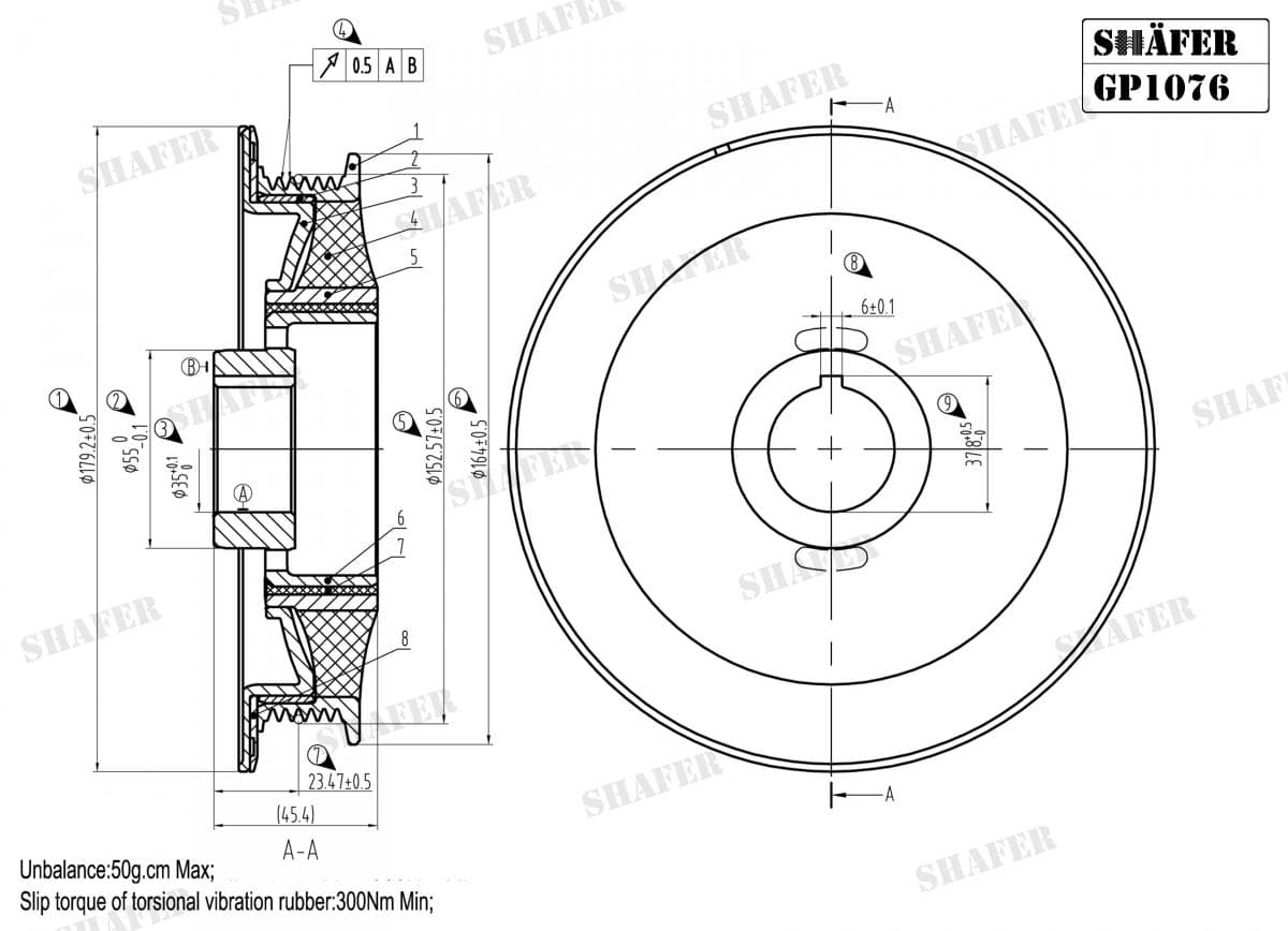 GP1076 - Shafer