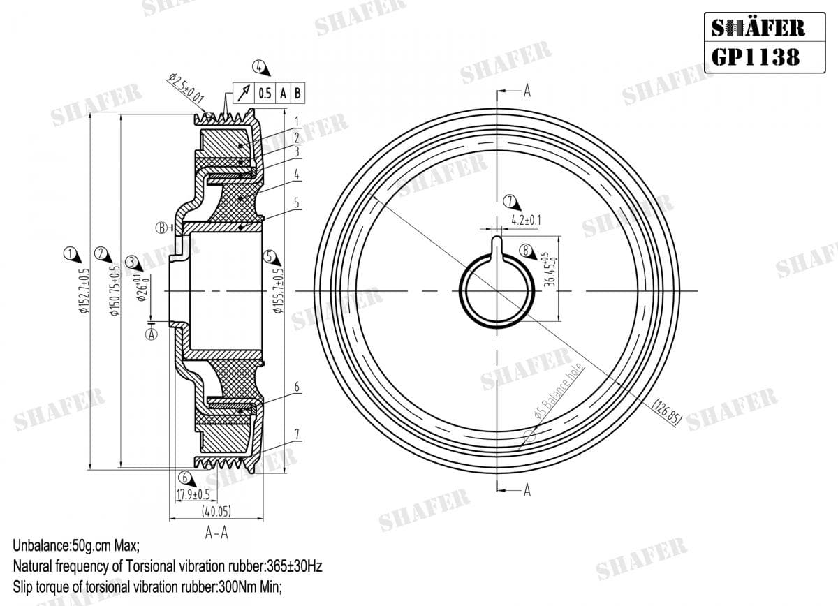 GP1138 - Shafer