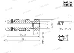 SM1243 - Shafer aperçu 2