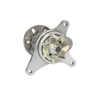Pompe à eau HEPU P809