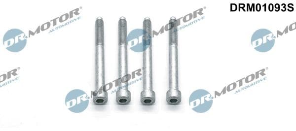 Vis, support pour contrôleur d'injecteurs DR.MOTOR AUTOMOTIVE DRM01093S 